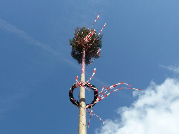 Maibaum