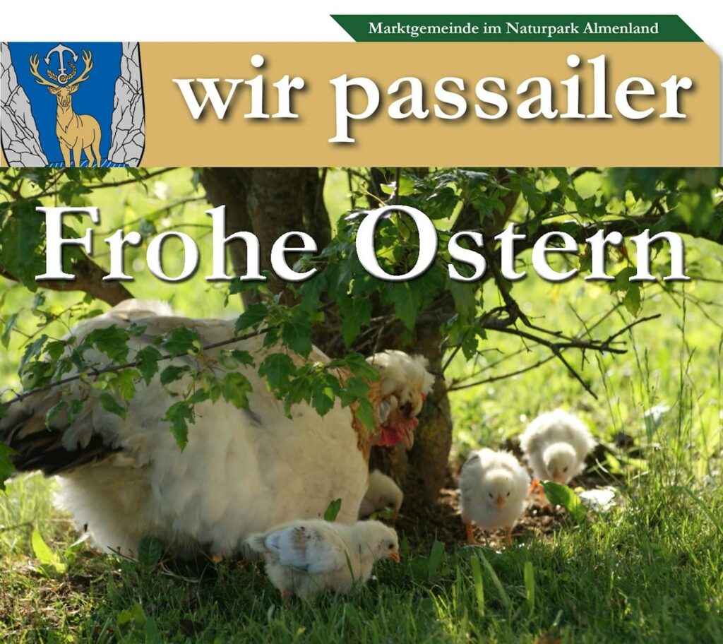 Newsletter-Kopf