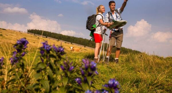 csm_Wandern_Sommeralm4_Almenland_Foto_B._Bergmann_klein_8876c95145